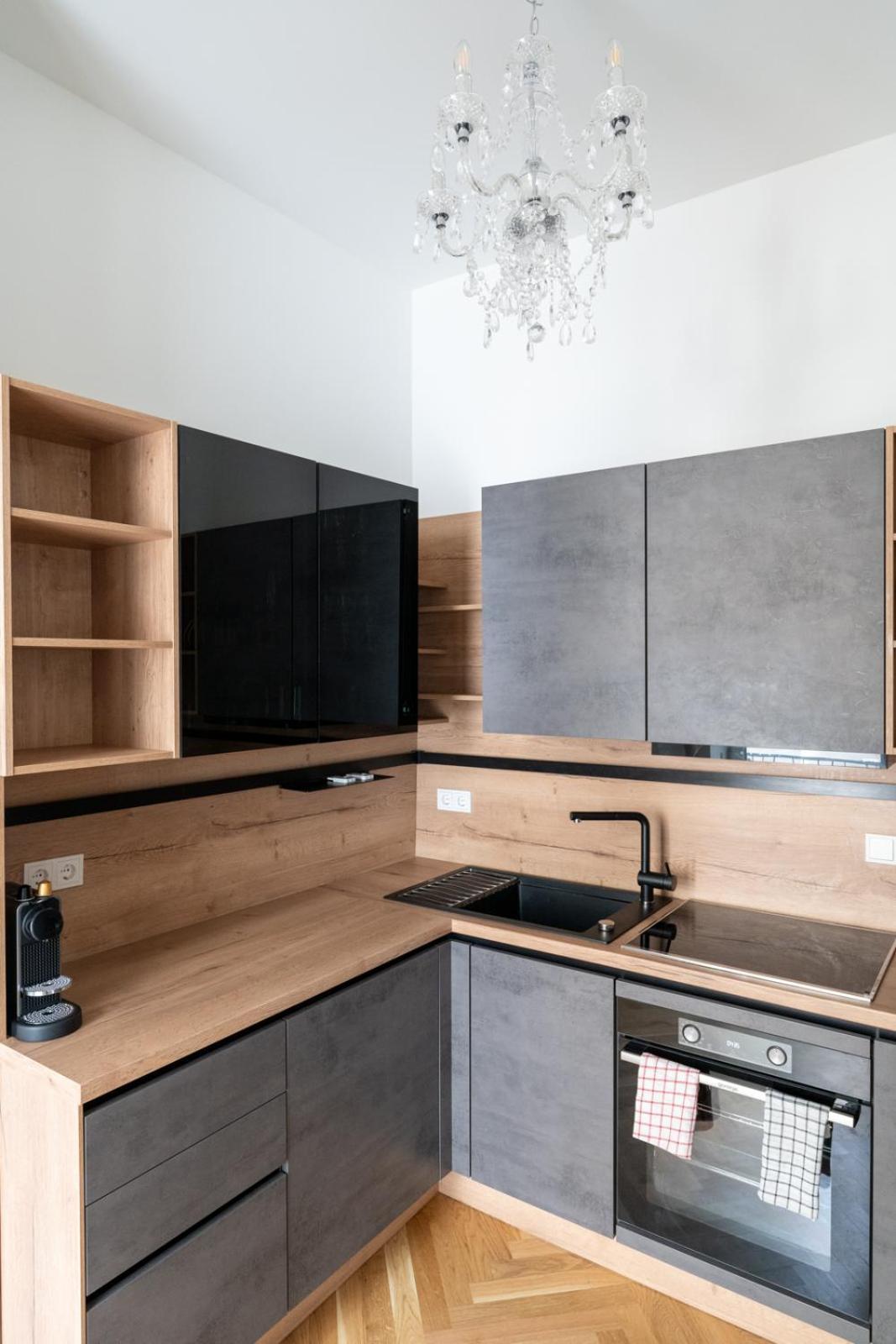Luxurious Viennese Old Style Apartament